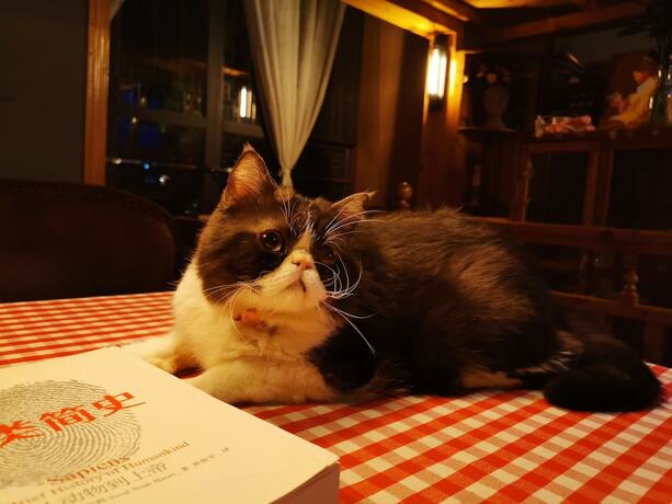 Imagen del bar/restaurante del Hotel Zhenyuan Qiemanman Kezhan. Foto 3