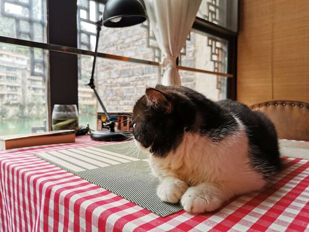 Imagen de los interiores del Hotel Zhenyuan Qiemanman Kezhan. Foto 20