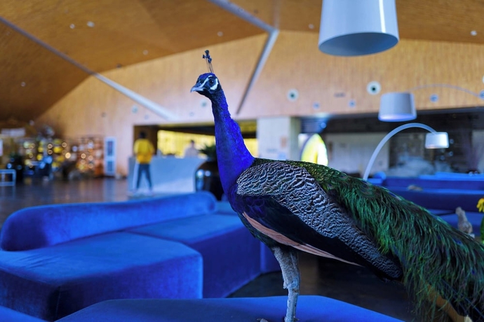 Imagen de los interiores del Hotel Zhi Resort Riverside. Foto 14