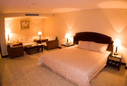 Imagen de la habitación del Hotel Zhuhai Swan. Foto 4