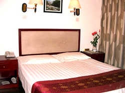 Imagen de la habitación del Hotel Zi Long. Foto 3