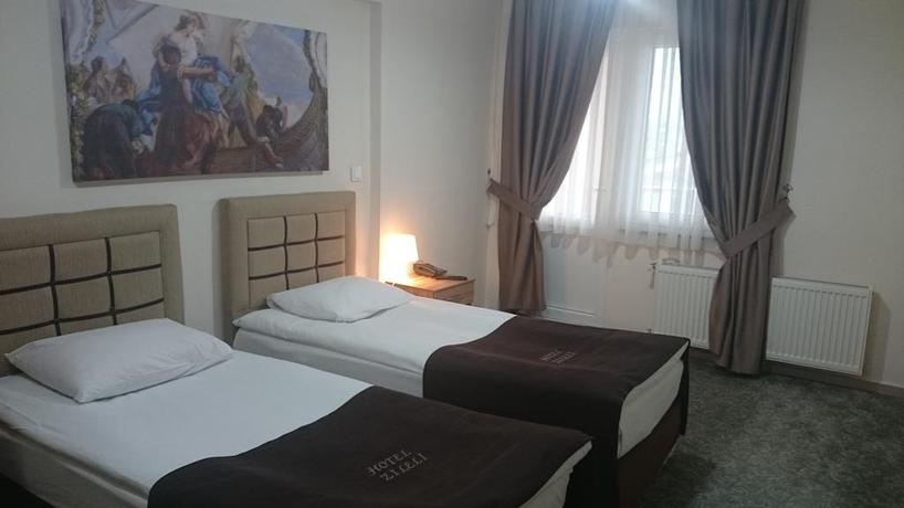 Imagen general del Hotel Zileli. Foto 3