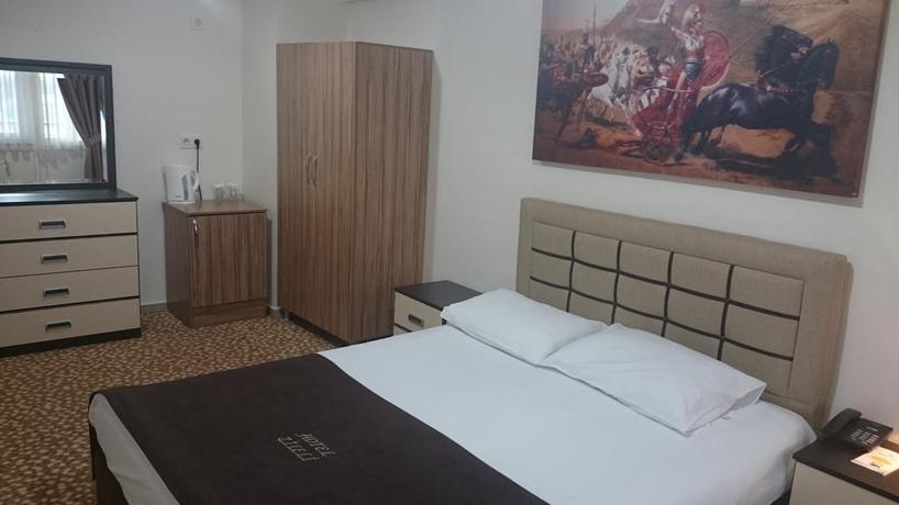 Imagen general del Hotel Zileli. Foto 5