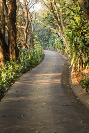 Imagen de los exteriores del Hotel Zimbali Lodge. Foto 10