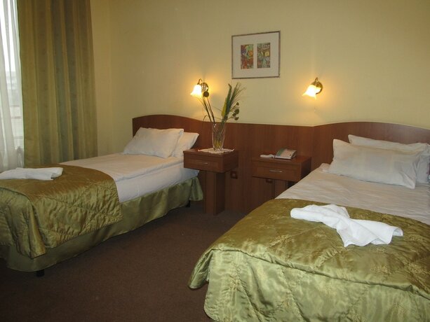 Imagen de la habitación del Hotel Zimbru. Foto 13