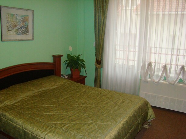 Imagen de la habitación del Hotel Zimbru. Foto 15