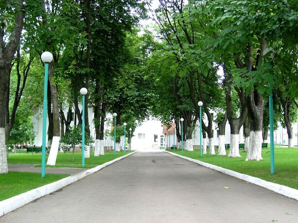 Imagen de los exteriores del Hotel Zimbru. Foto 16