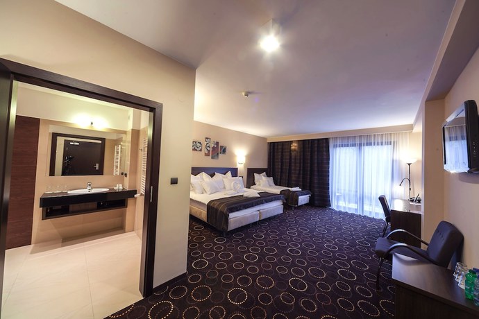 Imagen de la habitación del Hotel Zimnik Luksus Natury. Foto 8