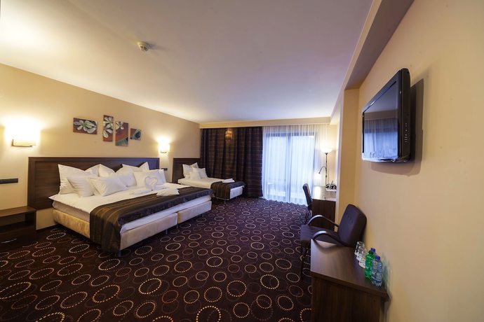 Imagen de la habitación del Hotel Zimnik Luksus Natury. Foto 11