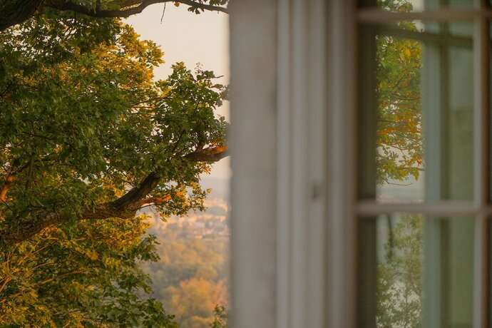 Imagen de la habitación del Hotel Zinar Castle. Foto 20