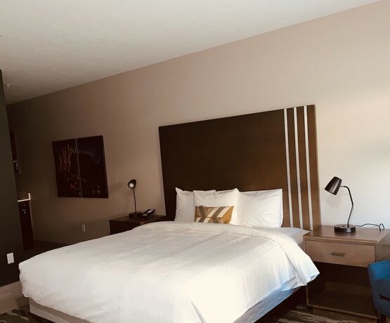 Imagen de la habitación del Hotel Zion Canyon Lodge. Foto 18