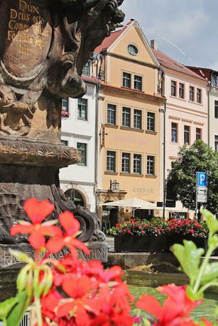 Imagen general del Hotel Zittauer Hof. Foto 4