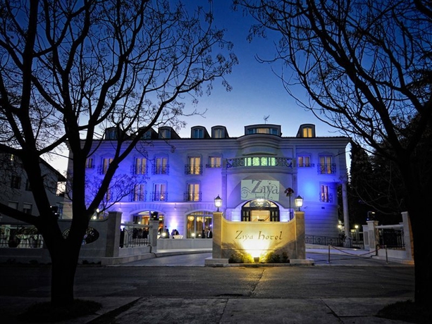 Imagen general del Hotel Ziya. Foto 4