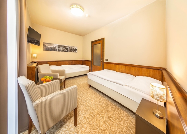 Imagen de la habitación del Hotel Zlata Hvezda Trebon. Foto 3