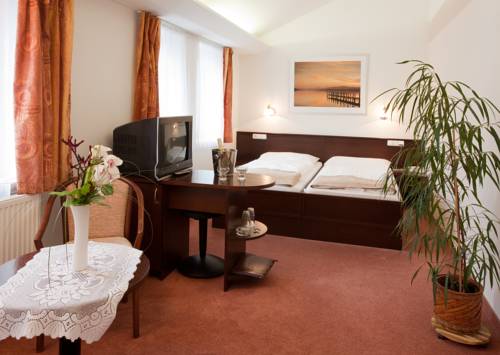 Imagen de la habitación del Hotel Zlat&aacute; Hvězda. Foto 13