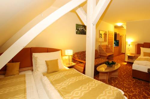 Imagen de la habitación del Hotel Zlat&aacute; Včela. Foto 2