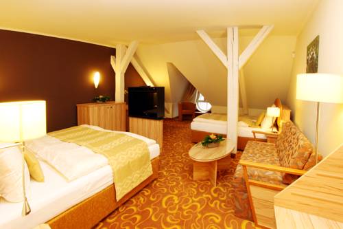 Imagen de la habitación del Hotel Zlat&aacute; Včela. Foto 3
