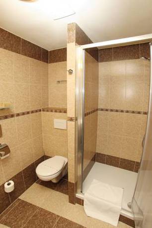 Imagen de la habitación del Hotel Zlat&aacute; Včela. Foto 4
