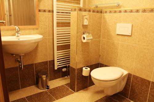 Imagen de la habitación del Hotel Zlat&aacute; Včela. Foto 9