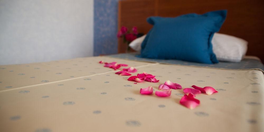 Imagen general del Hotel Zlatni Lav. Foto 13