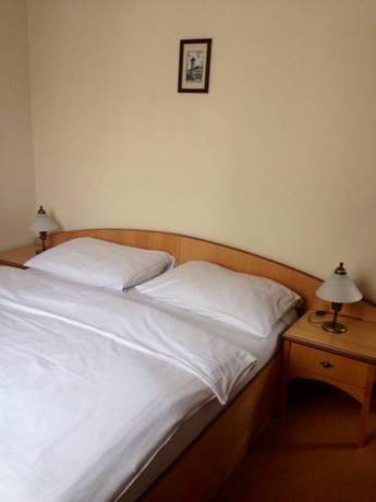 Imagen de la habitación del Hotel Zlaty Lev. Foto 5