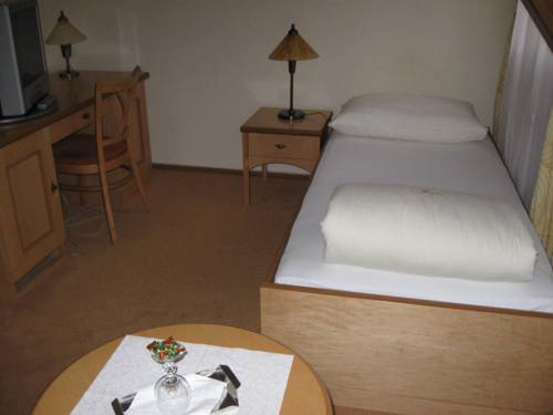 Imagen de la habitación del Hotel Zlaty Lev. Foto 12