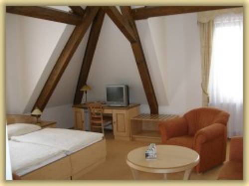 Imagen general del Hotel Zlaty Lev. Foto 1