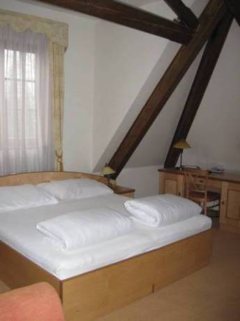 Imagen de la habitación del Hotel Zlaty Lev. Foto 15