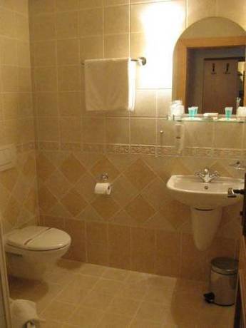 Imagen de la habitación del Hotel Zlaty Lev. Foto 16