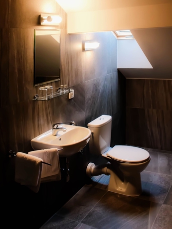 Imagen de la habitación del Hotel Zlaty Lev Zatec. Foto 5