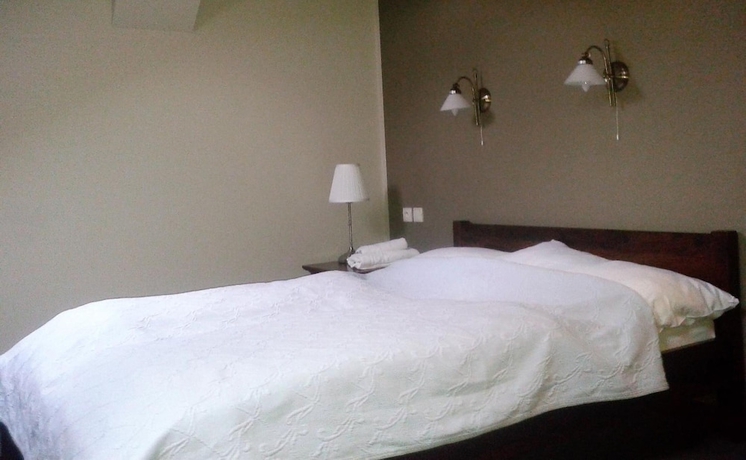 Imagen de la habitación del Hotel Zlaty Lev Zatec. Foto 13