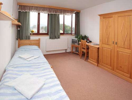 Imagen de la habitación del Hotel Zlat&yacute; Chlum. Foto 7