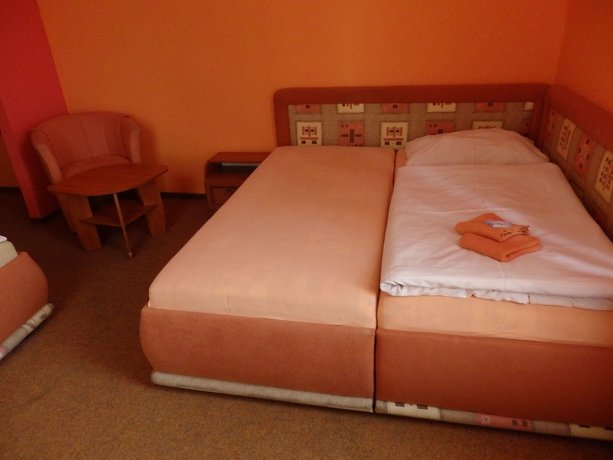 Imagen del bar/restaurante del Hotel Zlat&yacute; Kř&iacute;ž. Foto 6