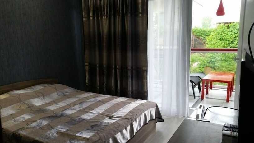 Imagen de la habitación del Hotel Zolotaya Rybka. Foto 11