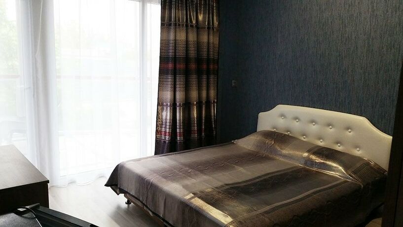 Imagen de la habitación del Hotel Zolotaya Rybka. Foto 18