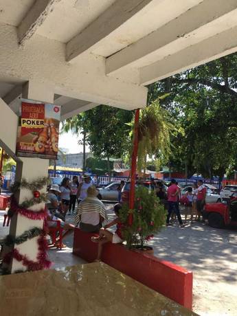 Imagen de los exteriores del Hotel Zona Tropical. Foto 13