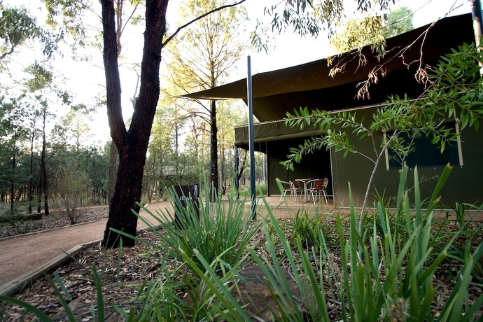 Imagen general del Hotel Zoofari Lodge at Taronga Western Plains. Foto 4