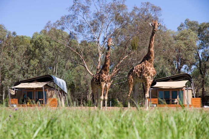 Imagen general del Hotel Zoofari Lodge at Taronga Western Plains. Foto 1