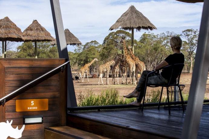 Imagen de la habitación del Hotel Zoofari Lodge at Taronga Western Plains. Foto 13
