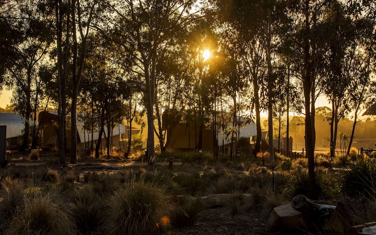 Imagen general del Hotel Zoofari Lodge at Taronga Western Plains. Foto 5