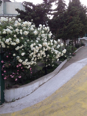 Imagen general del Hotel Zora, Sunny Beach. Foto 3