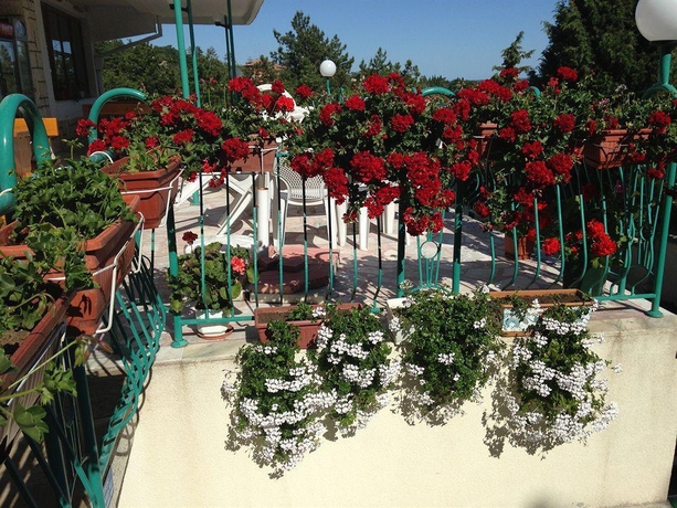 Imagen general del Hotel Zora, Sunny Beach. Foto 11
