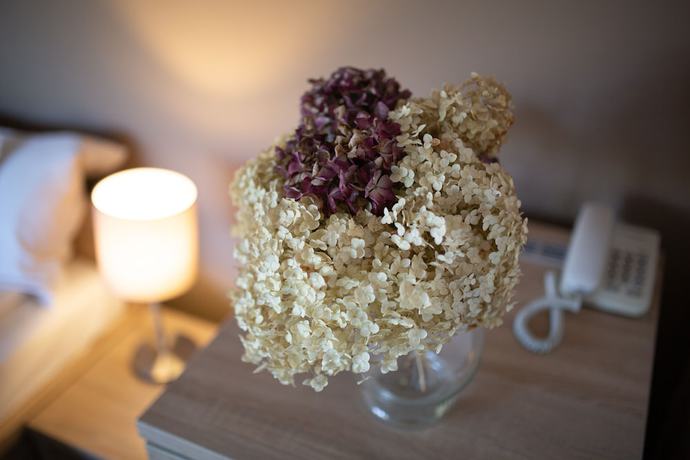 Imagen de la habitación del Hotel Zsanett. Foto 10