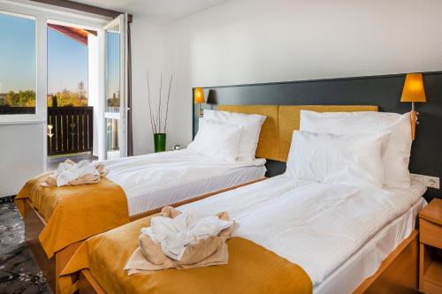 Imagen general del Hotel Zs&oacute;ry Liget Hotel & Spa Superior. Foto 4