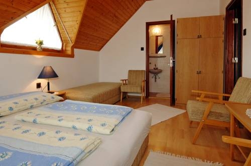 Imagen general del Hotel Zsuzsa Panzi&oacute;. Foto 2