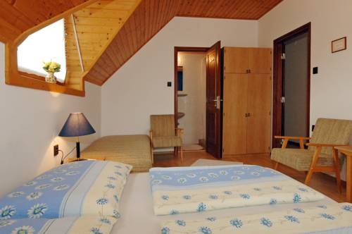 Imagen general del Hotel Zsuzsa Panzi&oacute;. Foto 3