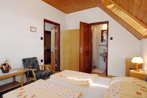 Imagen general del Hotel Zsuzsa Panzi&oacute;. Foto 5