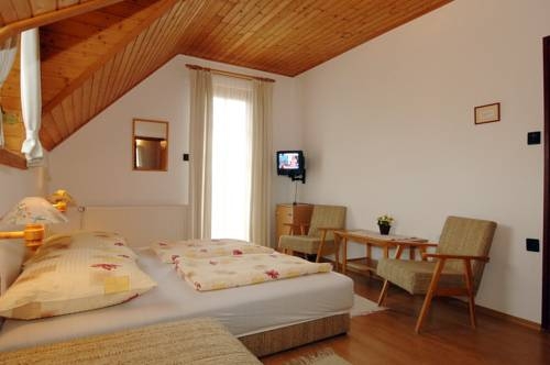 Imagen general del Hotel Zsuzsa Panzi&oacute;. Foto 10