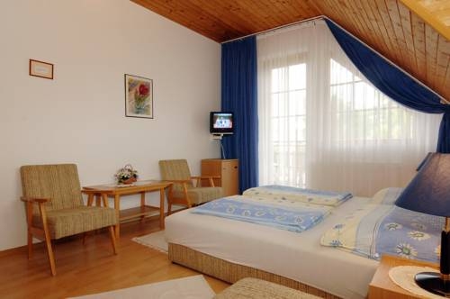 Imagen general del Hotel Zsuzsa Panzi&oacute;. Foto 11