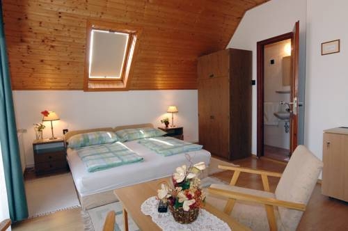 Imagen general del Hotel Zsuzsa Panzi&oacute;. Foto 13